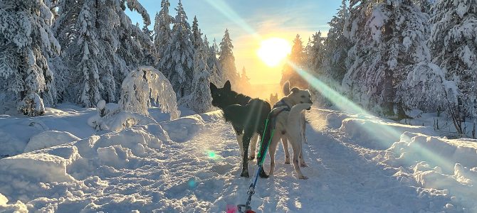 Fröhliche Weihnachten in Trysil und ein gemütlicher Jahreswechsel in Oslo